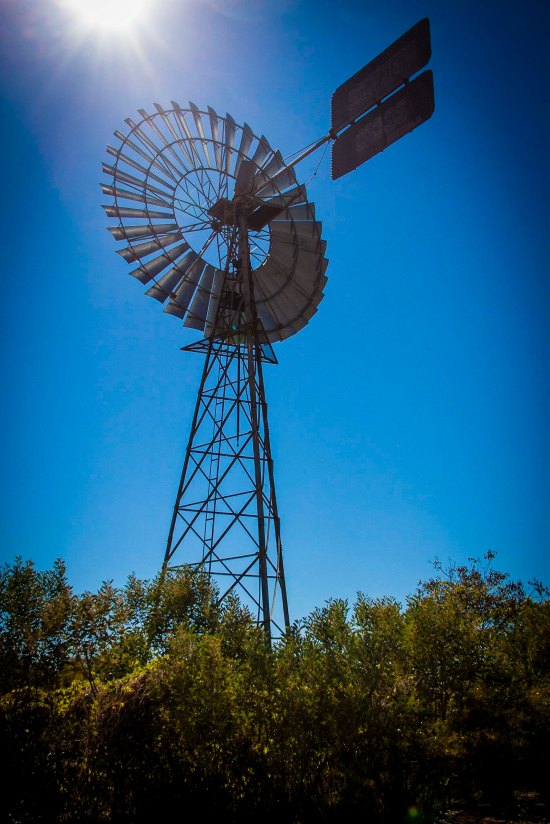 Windmill at a roadside rest area, to provide water from the artesian basin for travellers.
